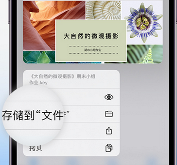 阳明apple维修中心分享iPhone文件应用中存储和找到下载文件