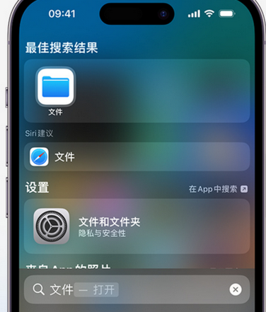 阳明apple维修中心分享iPhone文件应用中存储和找到下载文件