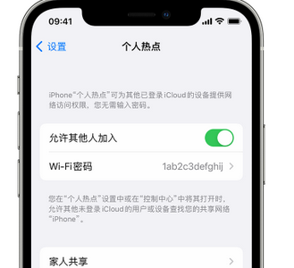 阳明apple服务站点分享iPhone上个人热点丢失了怎么办 