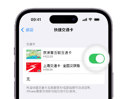 阳明apple维修点分享iPhone上更换Apple Pay快捷交通卡手绘卡面 