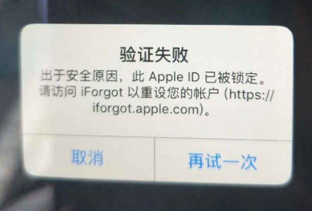 阳明iPhone维修分享iPhone上正常登录或使用AppleID怎么办 