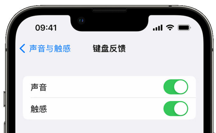 阳明苹果手机维修分享iPhone 14触感键盘使用方法 