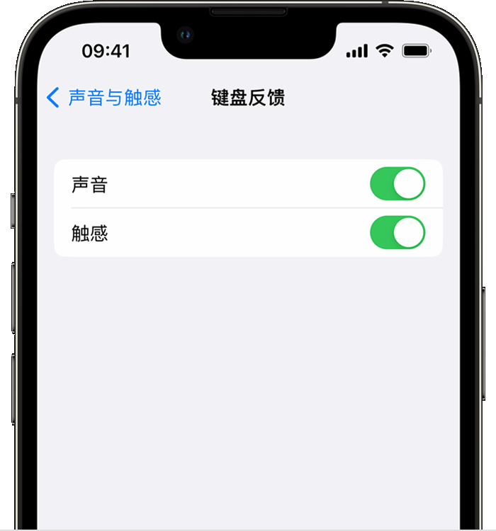 阳明苹果14维修店分享如何在 iPhone 14 机型中使用触感键盘 