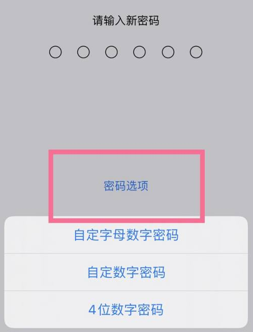 阳明苹果14维修分享iPhone 14plus设置密码的方法 