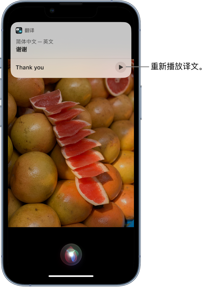 阳明苹果14维修分享 iPhone 14 机型中使用 Siri：了解 Siri 能帮你做什么 