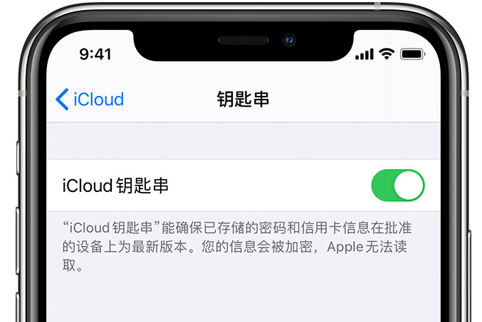 阳明苹果手机维修分享在 iPhone 上开启 iCloud 钥匙串之后会储存哪些信息 