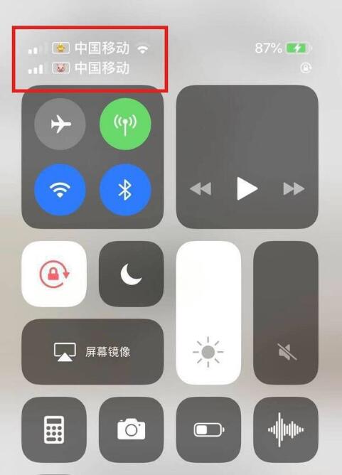 阳明苹果手机维修分享为 iPhone 12 双卡设置标签 